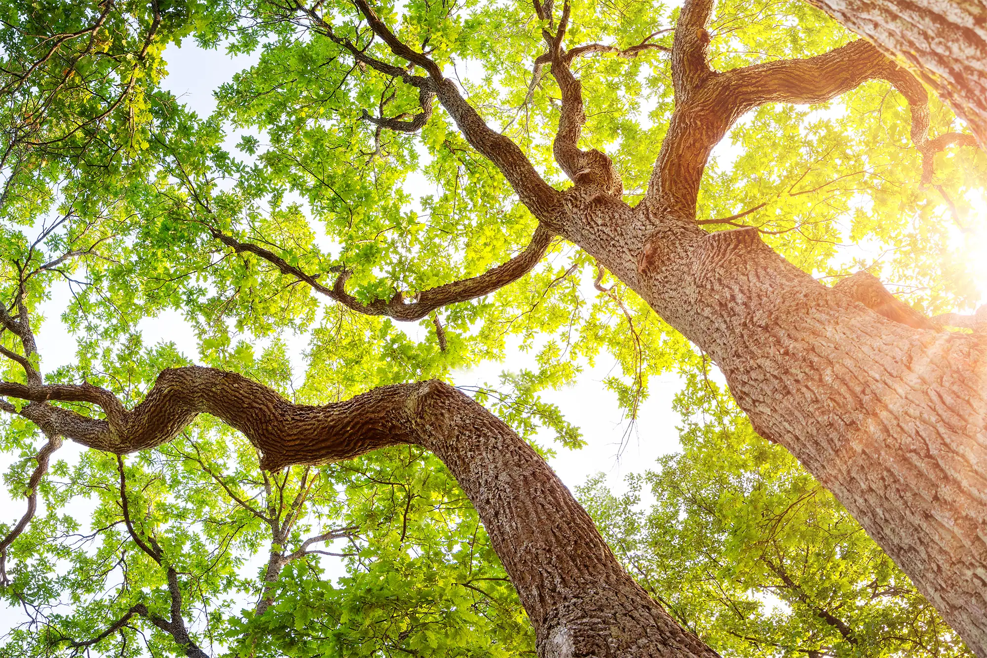 iStock-1571993869 Location Parks